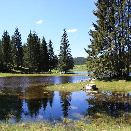 Hotel Alpi -