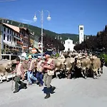 Alpi - Hotel
