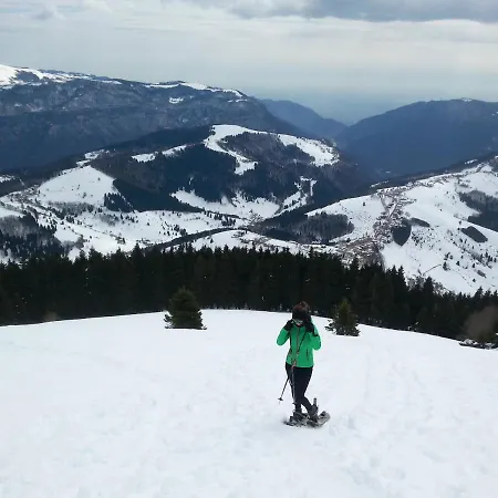 Alpi -