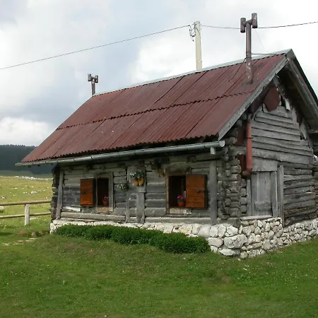 Otel Alpi - 2*