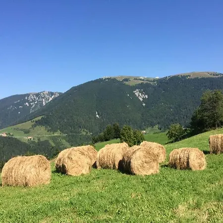 Alpi - 2* Foza
