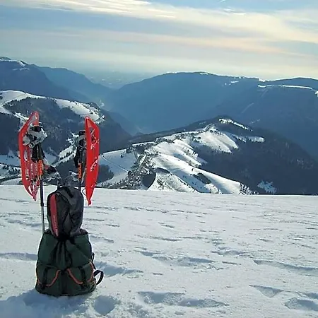 Alpi - Hotel Foza