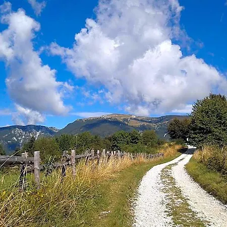 Alpi - Hotel