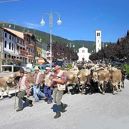 Alpi - Hotel Foza