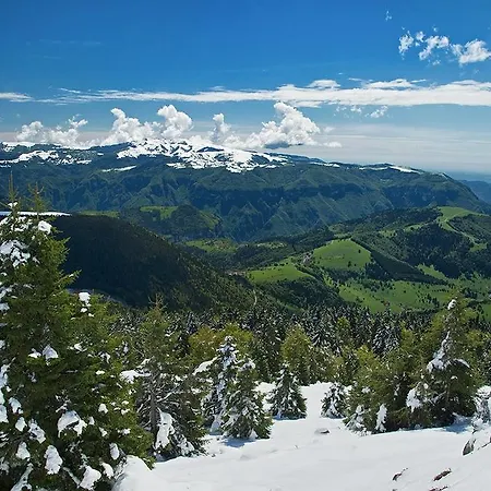 מלון Alpi -