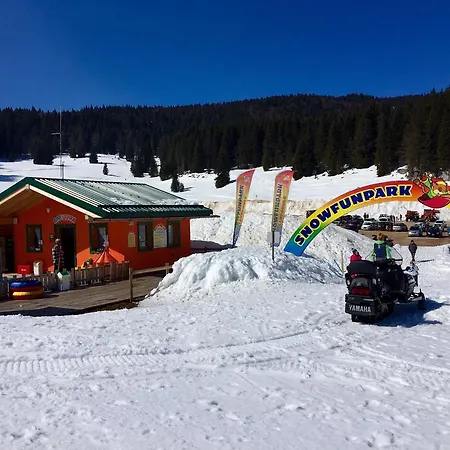 Hotel Alpi - 2*