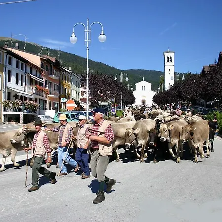 Alpi - Szálloda